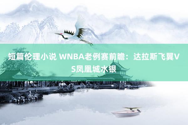 短篇伦理小说 WNBA老例赛前瞻:达拉斯飞翼VS凤凰城水银