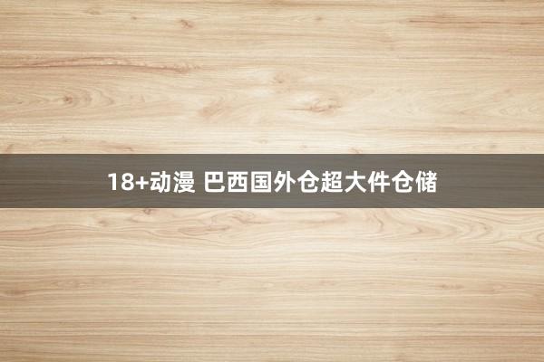 18+动漫 巴西国外仓超大件仓储