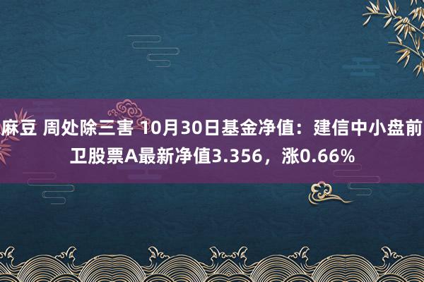 麻豆 周处除三害 10月30日基金净值：建信中小盘前卫股票A最新净值3.356，涨0.66%