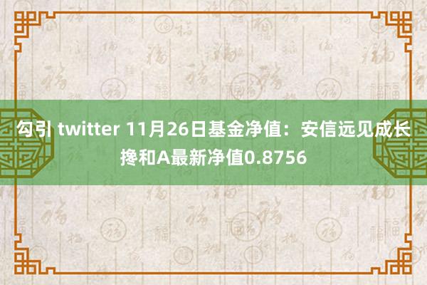 勾引 twitter 11月26日基金净值：安信远见成长搀和A最新净值0.8756
