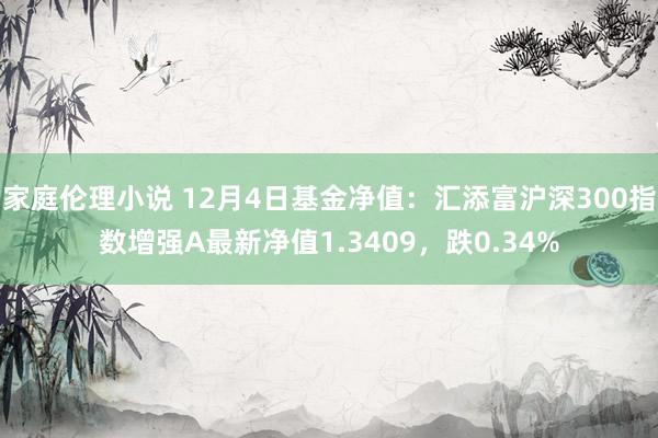 家庭伦理小说 12月4日基金净值：汇添富沪深300指数增强A最新净值1.3409，跌0.34%