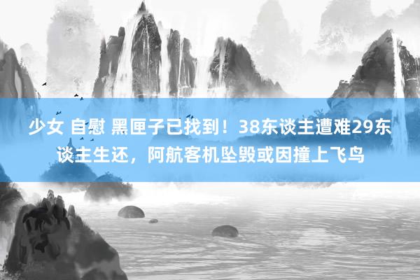 少女 自慰 黑匣子已找到!38东谈主遭难29东谈主生还,阿航客机坠毁或因撞上飞鸟