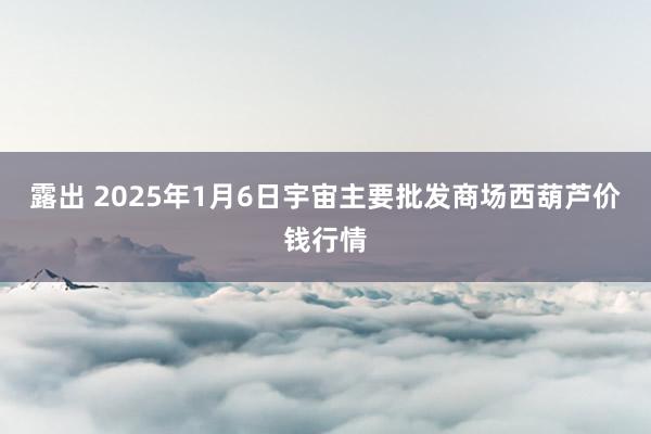 露出 2025年1月6日宇宙主要批发商场西葫芦价钱行情