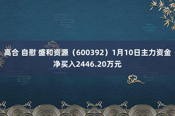 高合 自慰 盛和资源（600392）1月10日主力资金净买入2446.20万元