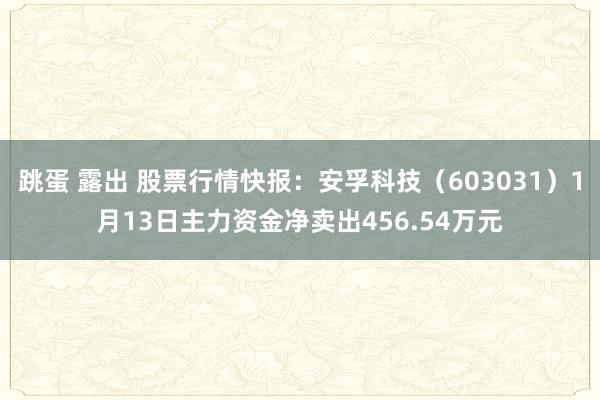 跳蛋 露出 股票行情快报：安孚科技（603031）1月13日主力资金净卖出456.54万元