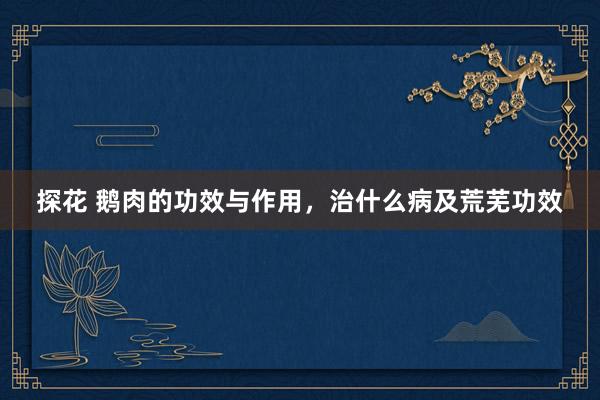 探花 鹅肉的功效与作用，治什么病及荒芜功效