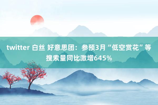 twitter 白丝 好意思团：参预3月“低空赏花”等搜索量同比激增645%