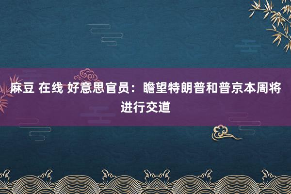麻豆 在线 好意思官员:瞻望特朗普和普京本周将进行交道