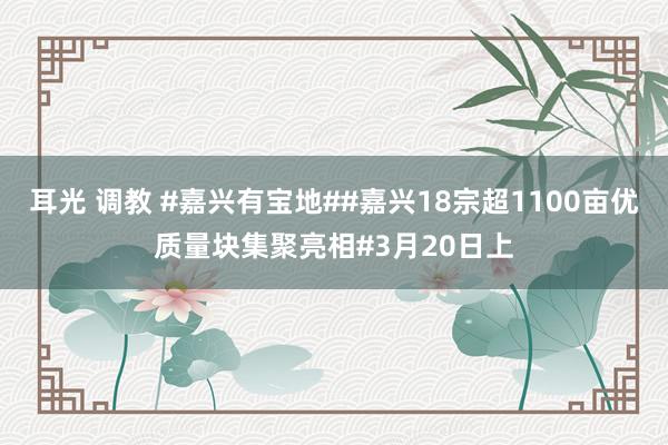 耳光 调教 #嘉兴有宝地##嘉兴18宗超1100亩优质量块集聚亮相#3月20日上