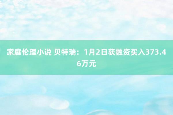 家庭伦理小说 贝特瑞：1月2日获融资买入373.46万元