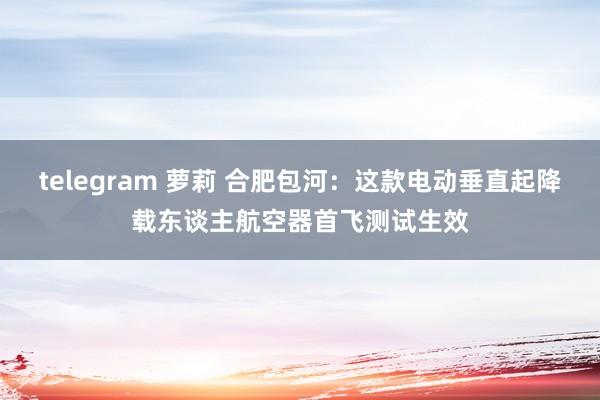 telegram 萝莉 合肥包河：这款电动垂直起降载东谈主航空器首飞测试生效