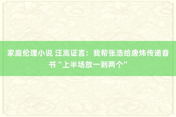 家庭伦理小说 汪嵩证言：我帮张浩给唐炜传递音书“上半场放一到两个”