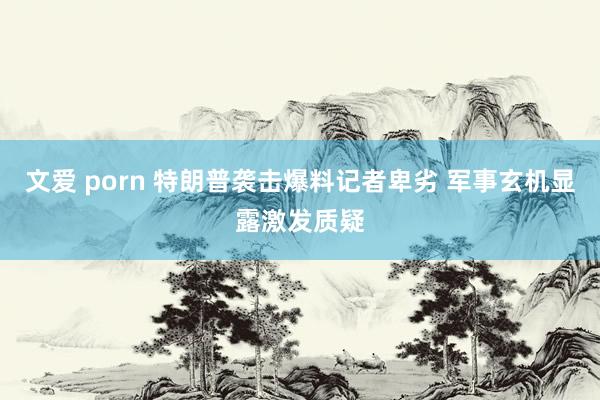 文爱 porn 特朗普袭击爆料记者卑劣 军事玄机显露激发质疑