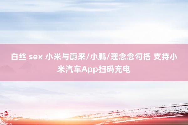 白丝 sex 小米与蔚来/小鹏/理念念勾搭 支持小米汽车App扫码充电