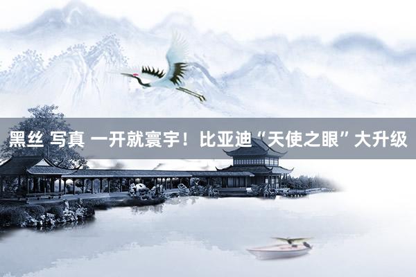 黑丝 写真 一开就寰宇！比亚迪“天使之眼”大升级