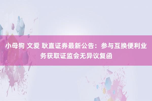 小母狗 文爱 耿直证券最新公告：参与互换便利业务获取证监会无异议复函