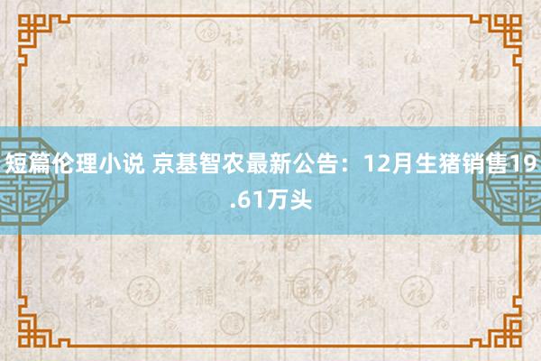 短篇伦理小说 京基智农最新公告：12月生猪销售19.61万头