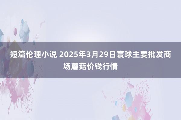 短篇伦理小说 2025年3月29日寰球主要批发商场蘑菇价钱行情
