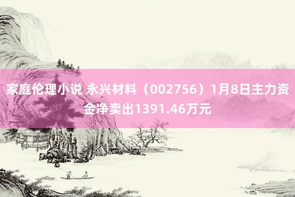 家庭伦理小说 永兴材料（002756）1月8日主力资金净卖出1391.46万元