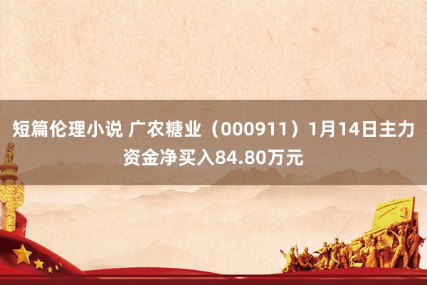 短篇伦理小说 广农糖业（000911）1月14日主力资金净买入84.80万元