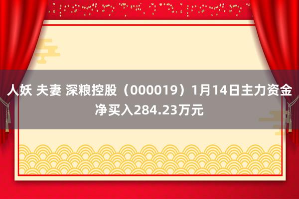 人妖 夫妻 深粮控股（000019）1月14日主力资金净买入284.23万元