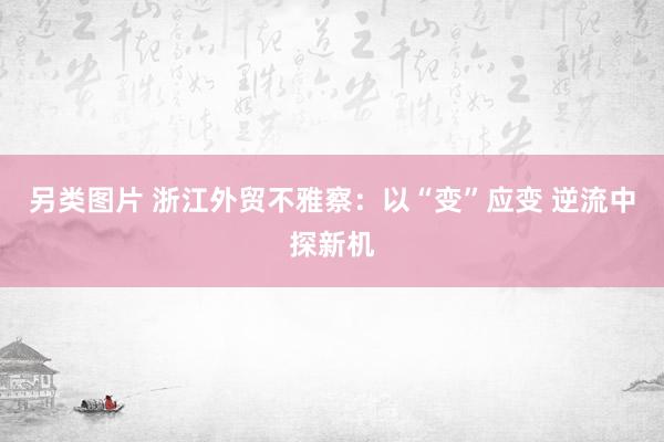 另类图片 浙江外贸不雅察：以“变”应变 逆流中探新机