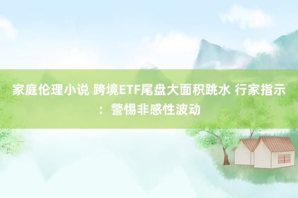家庭伦理小说 跨境ETF尾盘大面积跳水 行家指示：警惕非感性波动