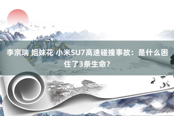 李宗瑞 姐妹花 小米SU7高速碰撞事故：是什么困住了3条生命？