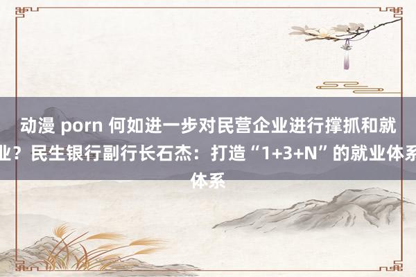 动漫 porn 何如进一步对民营企业进行撑抓和就业？民生银行副行长石杰：打造“1+3+N”的就业体系