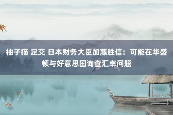 柚子猫 足交 日本财务大臣加藤胜信：可能在华盛顿与好意思国询查汇率问题