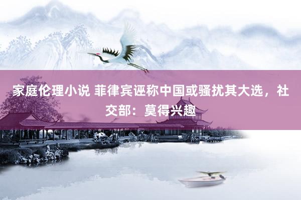 家庭伦理小说 菲律宾诬称中国或骚扰其大选，社交部：莫得兴趣
