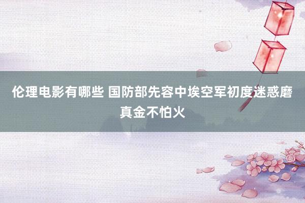 伦理电影有哪些 国防部先容中埃空军初度迷惑磨真金不怕火