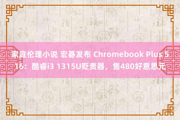 家庭伦理小说 宏碁发布 Chromebook Plus 516：酷睿i3 1315U贬责器，售480好意思元
