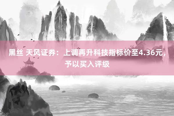 黑丝 天风证券：上调再升科技指标价至4.36元，予以买入评级