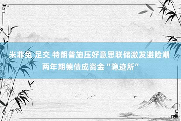 米菲兔 足交 特朗普施压好意思联储激发避险潮 两年期德债成资金“隐迹所”