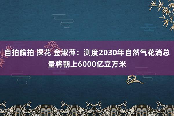 自拍偷拍 探花 金淑萍：测度2030年自然气花消总量将朝上6000亿立方米